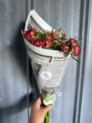OLFCO x Schoolhouse Farms : Farm to Table bunch