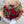 Red Roses