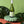 Hello! Very Friendly Pinot Grigio