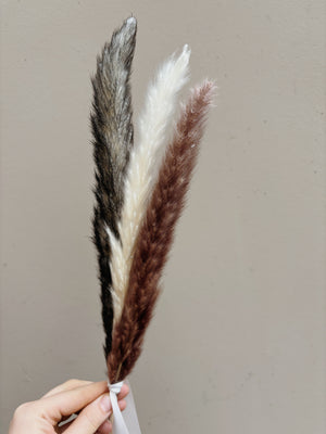 brown, white and black mini pampas bunch