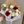 True North Bouquet