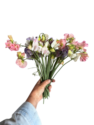 OLFCO x Schoolhouse Farms : Farm to Table bunch