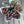 OLFCO x Schoolhouse Farms : Farm to Table bunch
