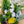 Tropical Vibes Bouquet