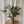 Corporate Floral Subscription