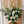 Extra large white and green funeral arrangement